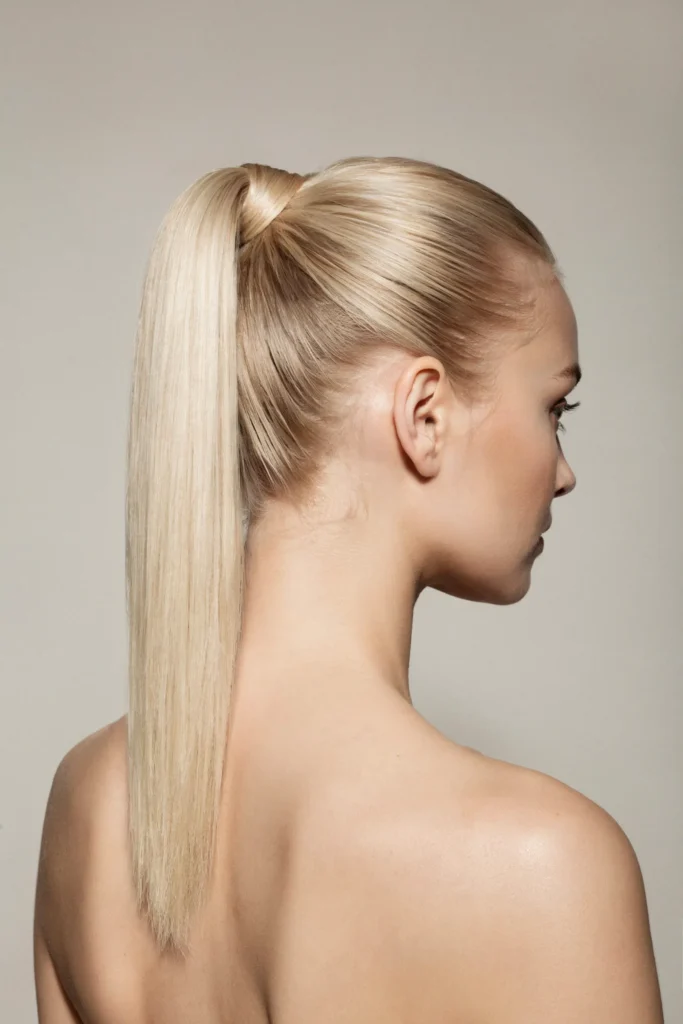 High Sleek Pony
